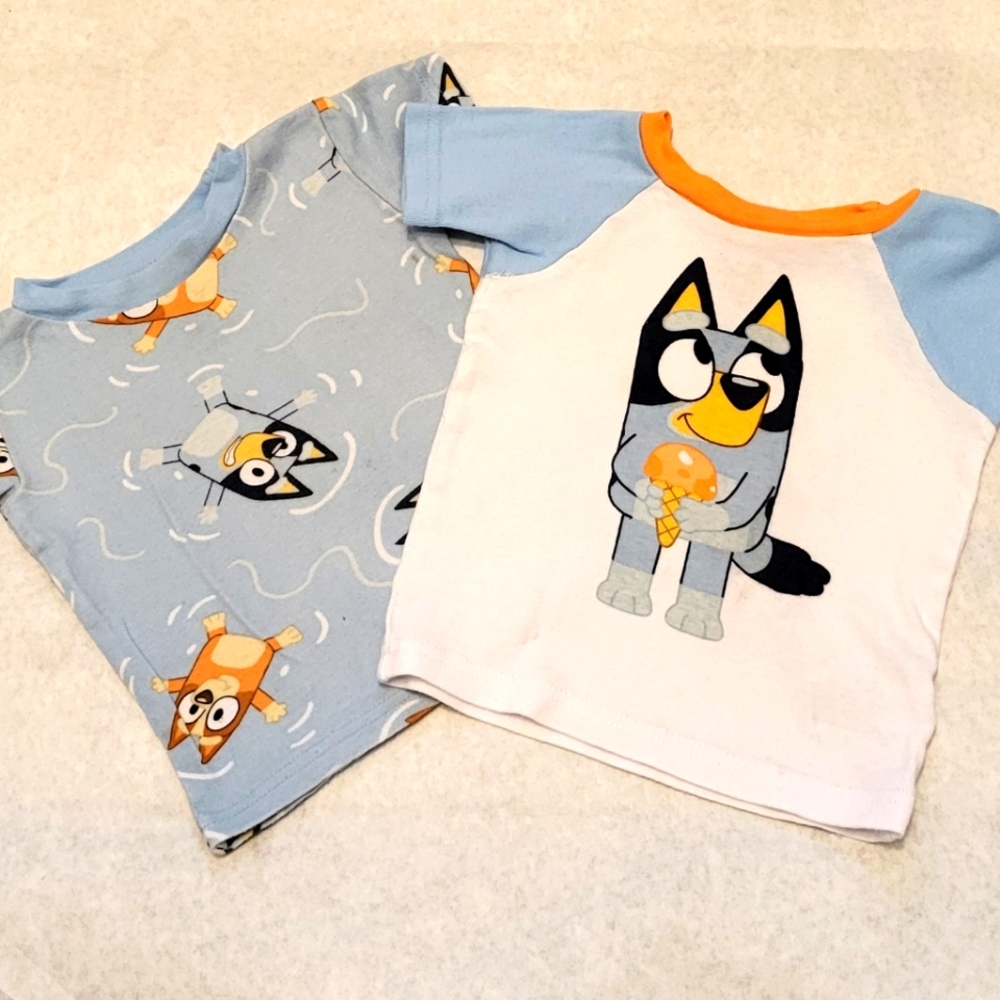 Set of two Bluey snug fitting tee shirts